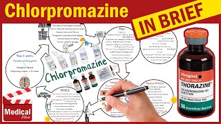 Chlorpromazine Hydrochloride  Thorazine  What is Chlorpromazine Uses Dosage amp Side Effects [upl. by Napier]