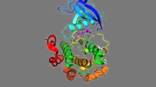 Insulin receptor tyrosine kinase drug pocket binding a nonATPcompetitive inhibitor [upl. by Nosae]