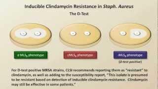 Antibiotic Resistance Antibiotics  Lecture 9 [upl. by Yemiaj]