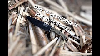 Why the ESEE Junglas 2 is an Ultimate Survival Knife [upl. by Senn633]