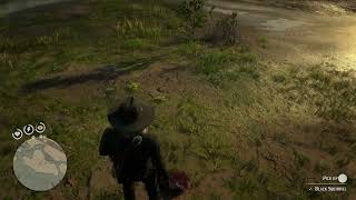 Rdr2  Perfect Squirrel Carcass Location [upl. by Anitsyrhk]