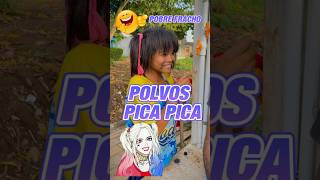 Polvos pica pica reflexion reels videos [upl. by Anillehs]