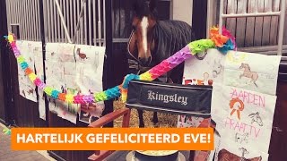 Eve viert haar verjaardag vlog  PaardenpraatTV [upl. by Rebor989]