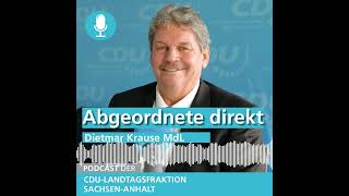 Podcast Dietmar Krause MdL Lösungen Ladendiebstahl im Einzelhandel Wirtschaftsförderprogramme [upl. by Ellenar]