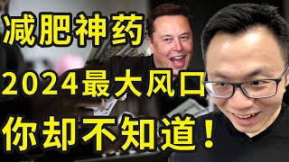 全球富人抢着要，却被绝大部分人忽略的超级赚钱赛道。Elon Musk已经入局，华尔街抢着追捧的好机会！适合每个普通人，躺着就瘦20斤，不节食不运动的减肥神药 [upl. by Nye886]