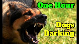 Dogs Barking for One Hour  barking sounds for 60 minutes of different breeds of dogs [upl. by Meeki]