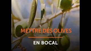 Mettre des olives en bocal [upl. by Follansbee625]