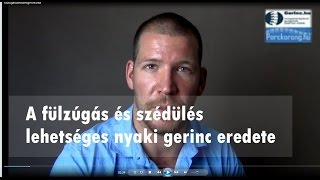 Fülzúgás  szédülés  egyensúlyproblémák nyaki gerinc eredete [upl. by Gino899]