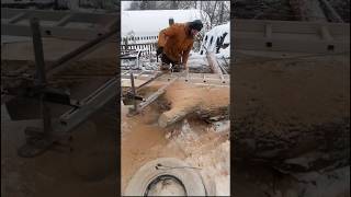 The process of sawing a huge tree woodworking wooding belkowood [upl. by Latrice]