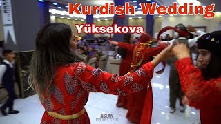 Yüksekova Düğünleri  Kurdish Wedding [upl. by Kylynn]