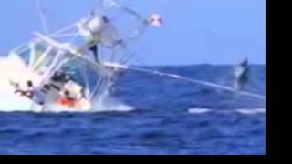 Marlin takes down fishing boat [upl. by Adriana]