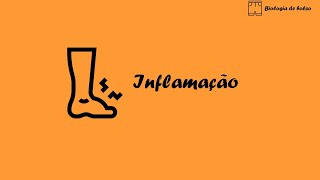 Inflamação [upl. by Ydnil]