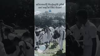 13 වසරක පාසල් ජීවිතය එසේ සනිටුහන් විය🥺🫂♥️ memories love enjoy school 2024AL [upl. by Alric]