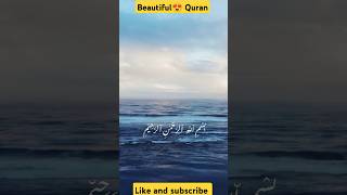 Beautiful Quranviral videobeautiful voice youtubeshorts [upl. by Verlie]