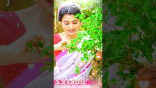 Sonamoni new adivasi baganiya song 2024 adivaasisongsong jhumursongs 2024 adivasi jhumur video [upl. by Tychonn872]