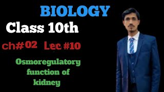 Osmoregulatory function of kidney class 10th Biology Chapter 03 Lecture 10 [upl. by Benedicto684]