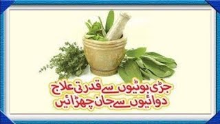 The Most Powerful Herbs that Help Heal the body amp Prevent DiseaseSimon Mills By Dr iram Khan Niazi [upl. by Donaugh]