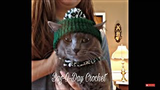 Easy Crochet a Cat Hat  Easy Crochet Beanie with Ear Holes  Bag o day Crochet Tutorial 336 [upl. by Luisa197]