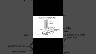 Sphygmomanometer l Exit exam preparation l Blood pressure measurement blood pharmacy [upl. by Yrahcaz]