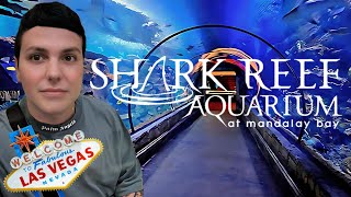 Shark Reef Aquarium at Mandalay Bay  Tour amp Review [upl. by Anav]