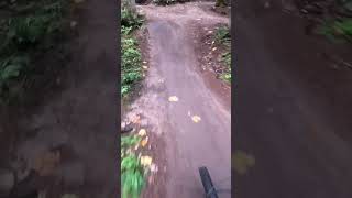 Quick Ride at Duthie Hill subscribe shorts mtb trekbikes explore nature outdoors pnw bike [upl. by Hellah]