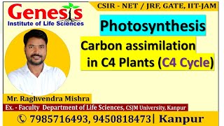 C4 Cycle and C4 plants Photosynthesis CSIR NETJRF  GATE  Life science  biotechnology  ICMR [upl. by Ehcram497]