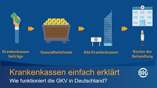 Krankenkasse einfach erklärt  so funktioniert die GKV in Deutschland [upl. by Davison]