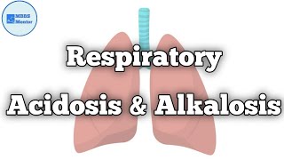 Respiratory Acidosis amp Alkalosis  Respiratory Physiology [upl. by Hyacinthie]