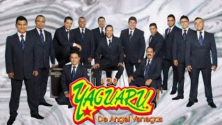 30 Mejores cancines de LOS YAGUARÚ Grandes Cumbias Mix exitos 2024 Album Completo [upl. by Ellehcim]