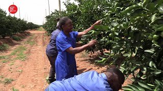 THE MOLETELE LIME PROJECT IS UPLIFTING A LOCAL LIMPOPO COMMUNITY [upl. by Verner]