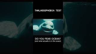 Extreme thalassophobia test shorts megalophobia thalassophobia [upl. by Alyac857]