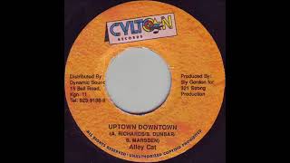 Alley Cat  Uptown Downtown Gridlock Riddim 1998 [upl. by Auod]