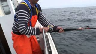 Wreck Fishing  Shetland [upl. by Komarek]