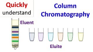 Column chromatography [upl. by Aneetsirk632]