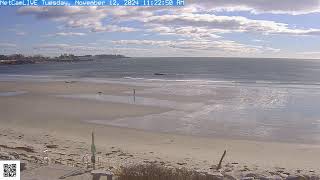 Steve Seabury Higgins Beach Properties Live Webcam [upl. by Darbee]