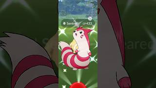 Getting Lucky With ✨Shiny Furret in pokemongo [upl. by Laroy748]