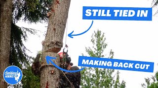 Tree worker makes huge mistake cutting a log he is attached to  CLIMBING ARBORIST BREAKDOWN [upl. by Ettegirb]