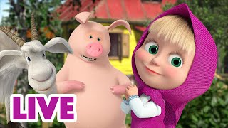 🔴 LIVE Maşa İle Koca Ayı 🙌 Hayırlı İşler Bürosu 🤗🏢 Masha and the Bear [upl. by Rainger]