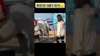 騎馬這麽難嗎😂盤點騎馬翻車现场 搞笑 搞笑合集 funny 暖心 搞笑视频shorts [upl. by Cibis]