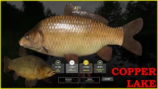 Kvolsdorfsky amp Trophy F1 copper lake  Russian Fishing 4 mjplay [upl. by Laehplar]