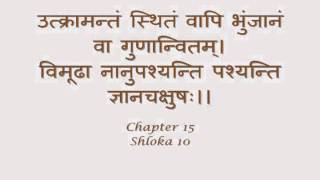 Bhagavad Gita  Sanskrit recitation with Sanskrit text  Chapter 15 [upl. by Ahseikram516]