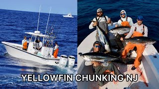 Yellowfin chunking NJ [upl. by Kali210]