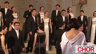 ONE Chamber Choir Singapur Izar Ederrak INTERNATIONALER KAMMERCHORWETTBEWERB MARKTOBERDORF 2017 [upl. by Wade868]