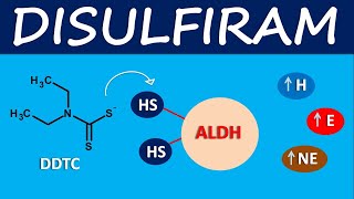 Disulfiram  Mechanism side effects and uses [upl. by Annayrb]