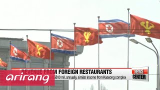 13 N Koreans working at foreign restaurant defect to S Korea [upl. by Llebyram]