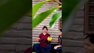 Iconic Desamuduru Telugu Comedy Scene  Our Funniest Version Yet [upl. by Tiana]