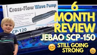 Jebao SCP150 Sine Cross Flow Gyre 6 Month Review [upl. by Sidwohl]