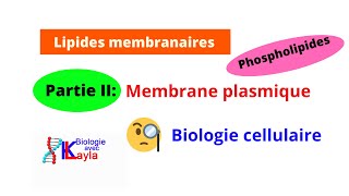 Lipides membranaires Phospholipides Membrane plasmique [upl. by Eiramnna]