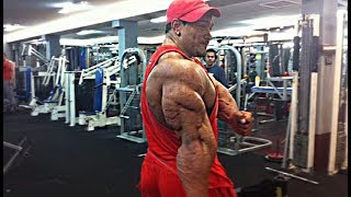 Roelly Winklaars Triceps Training Road to the Olympia Part 3 [upl. by Recor]