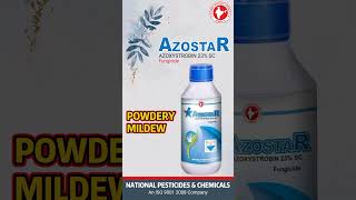 AZOSTAR  Azoxystrobin 23 SC Fungicide [upl. by Dessma]